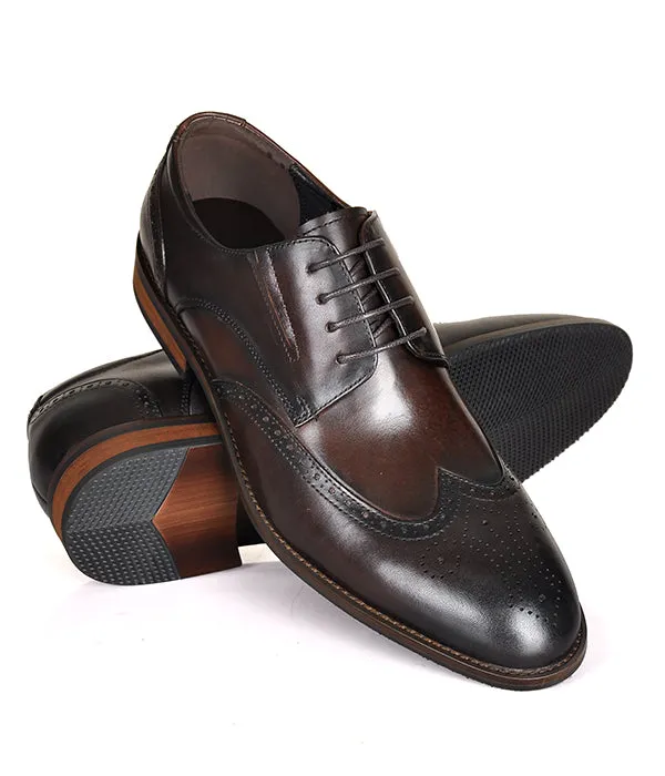 Aldo Derby Coffee Leather Shoes