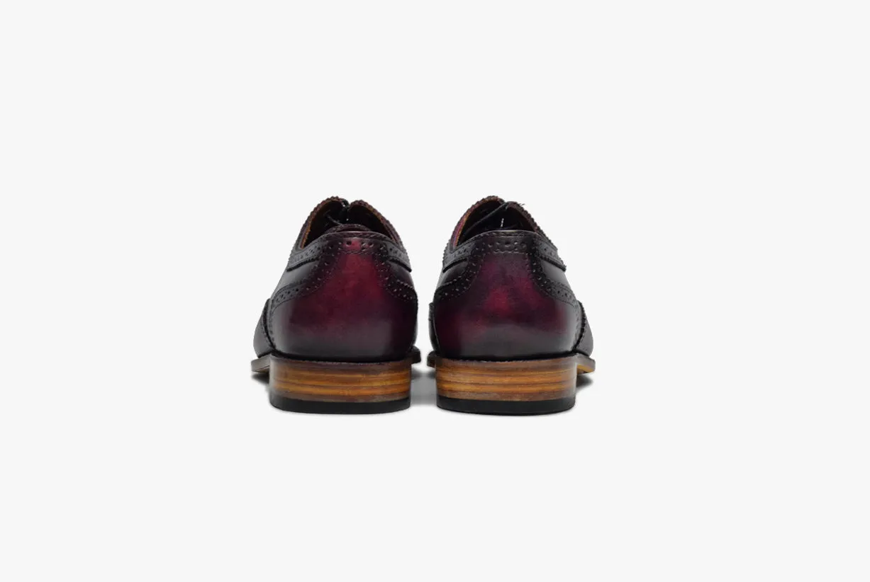 Arsala Wingtips
