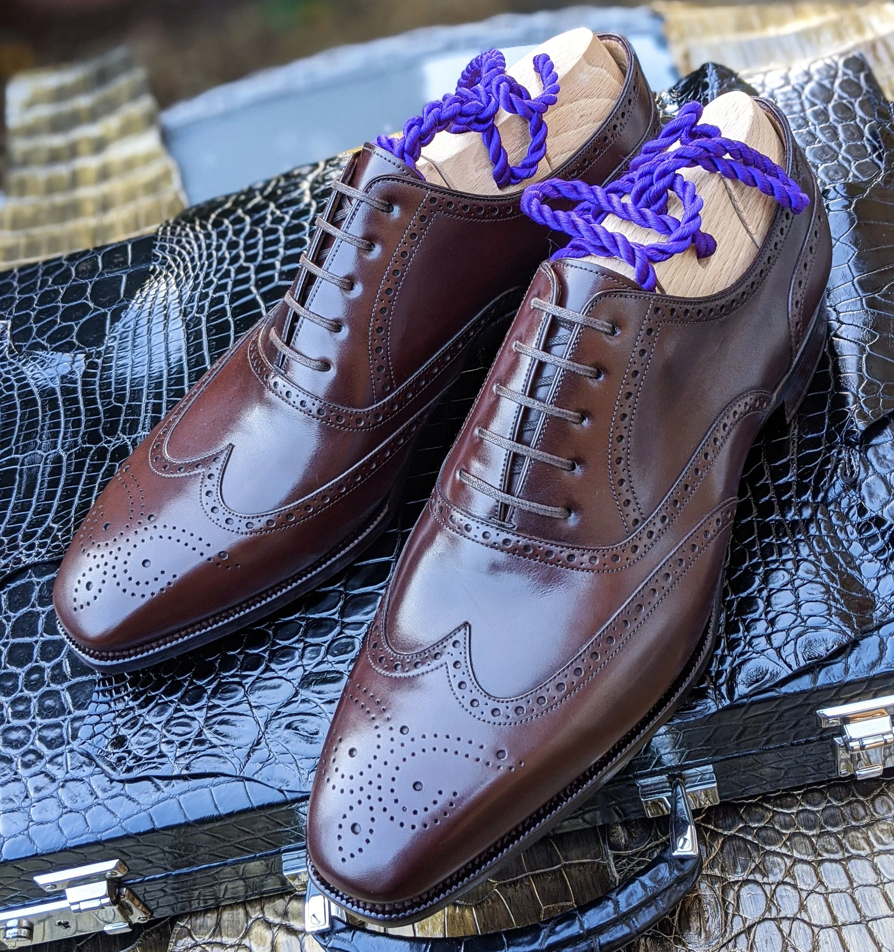 Ascot William - Brown Calf