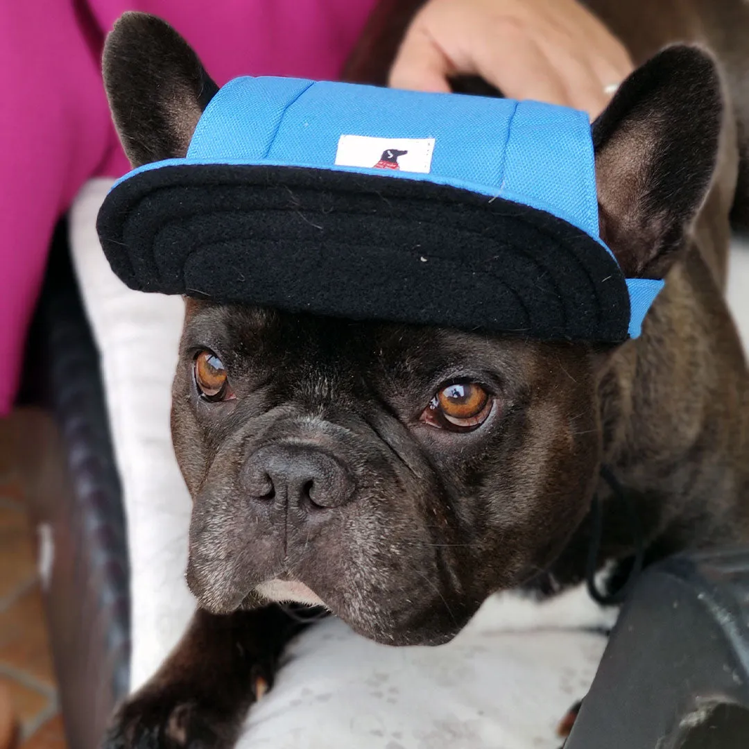 Cappello per cane - 3 misure - 2 colori