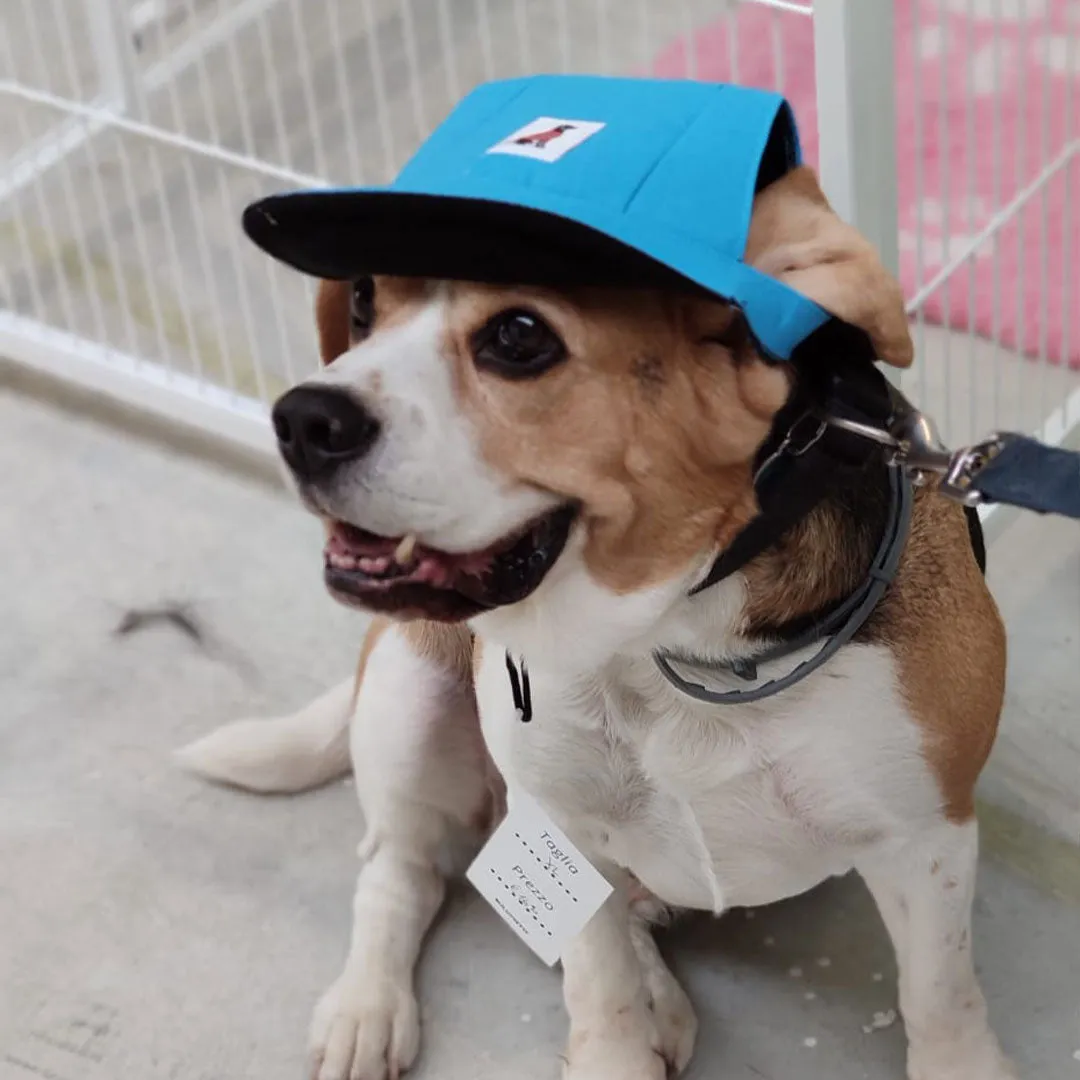 Cappello per cane - 3 misure - 2 colori