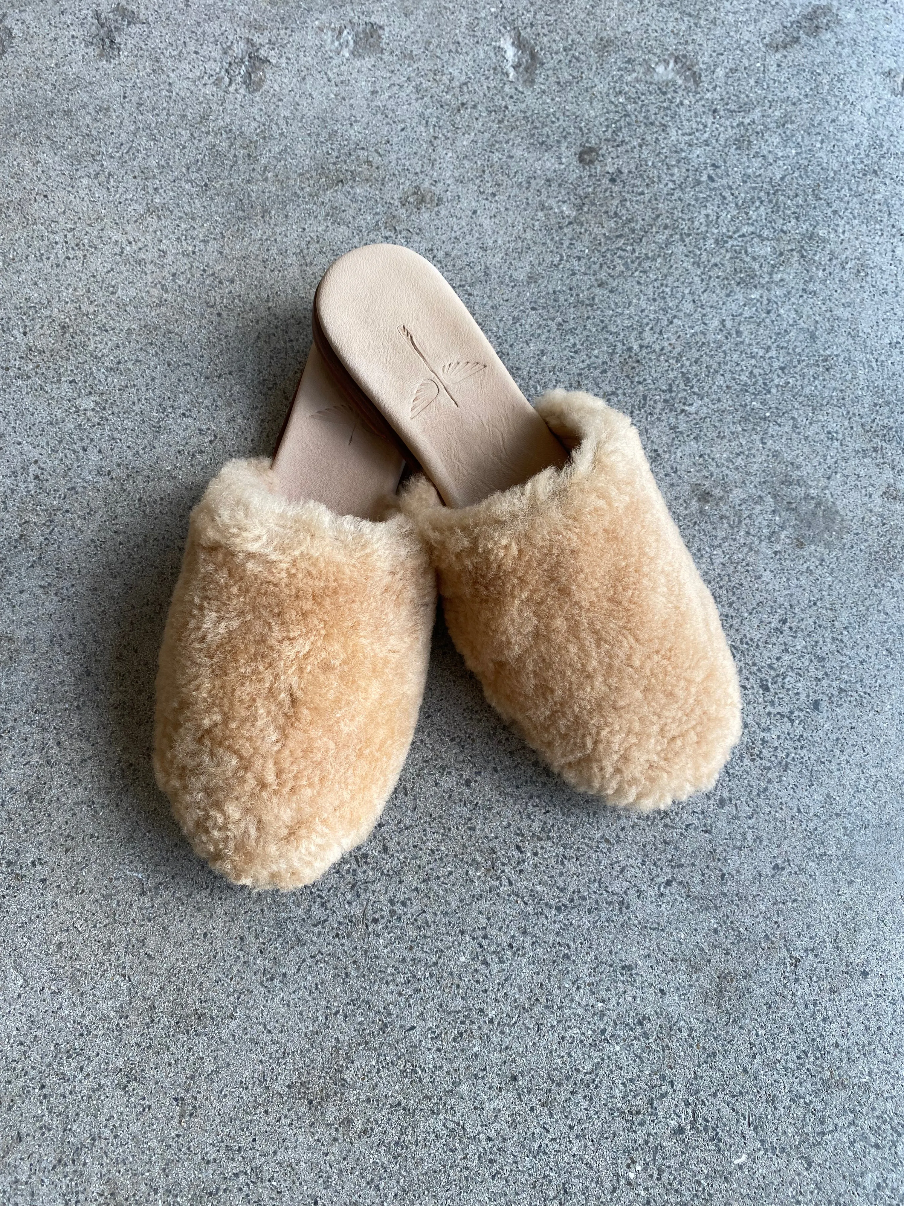 CLHEI - Catalina Mules