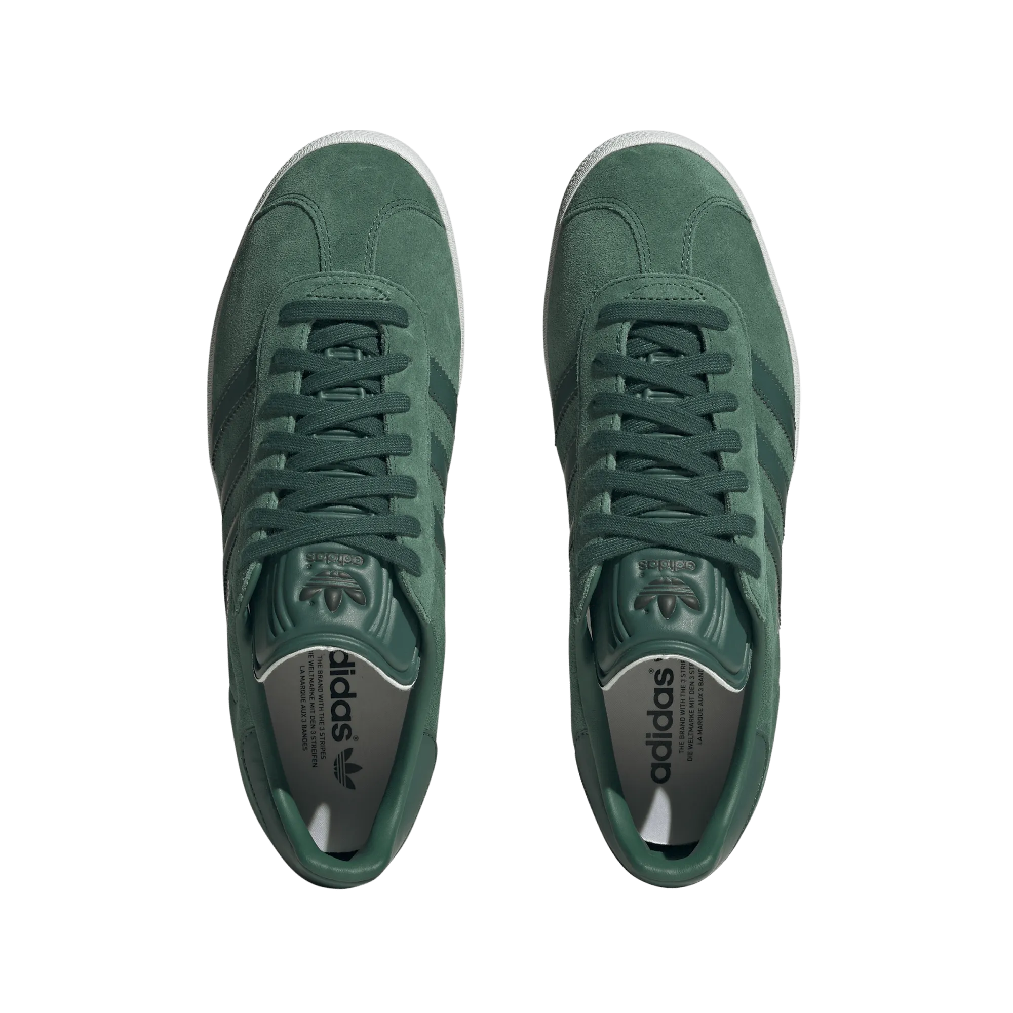 Gazelle