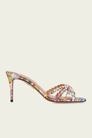 Tequila Mule 75 in Rainbow