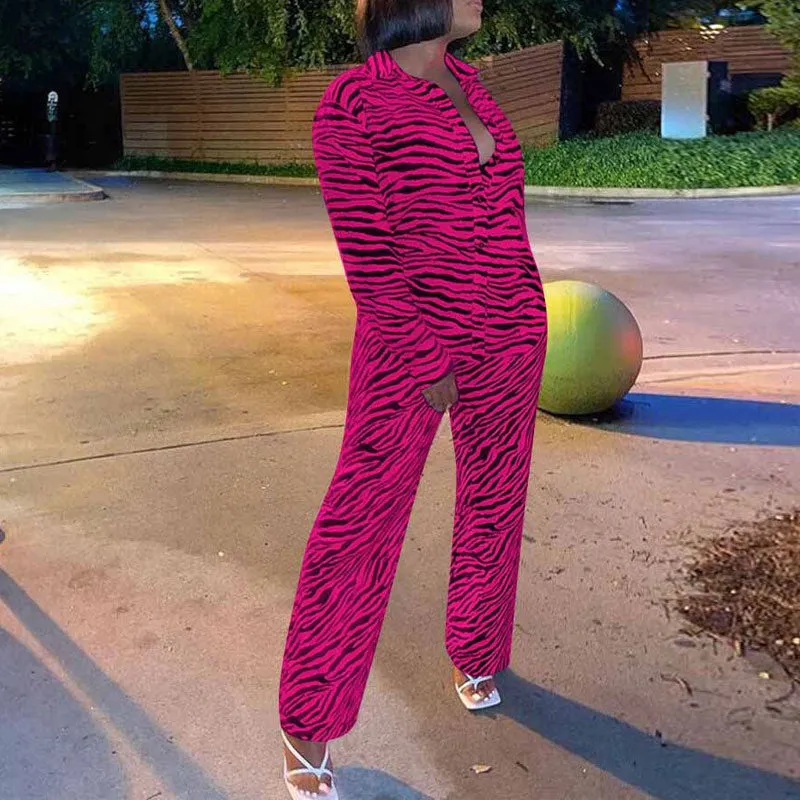 Zebra Print Long Sleeve Blouse & Pants Set